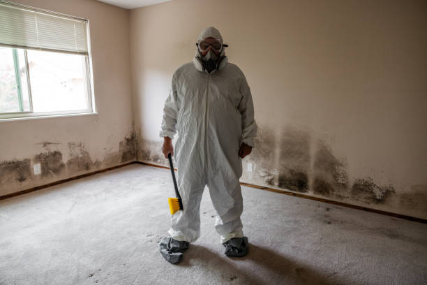 Biohazard Mold Removal in Sandston, VA